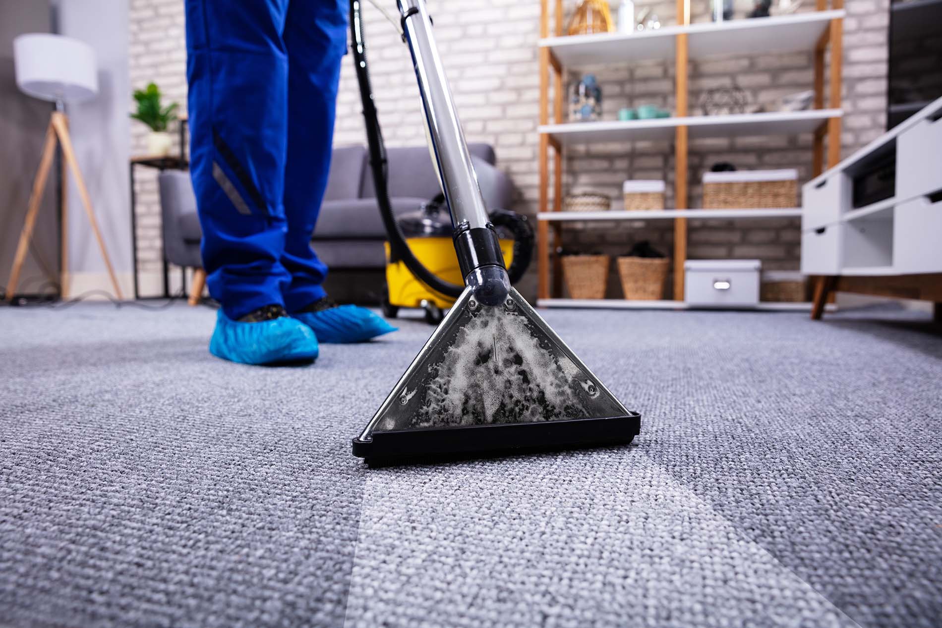 Carpet & Upholstery Cleaning - Professional carpet cleaning